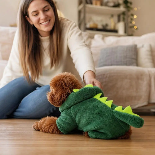 The Dino Hoodie